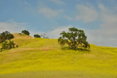 DSC_6401 (Large).JPG